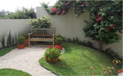 Plantas para jardim